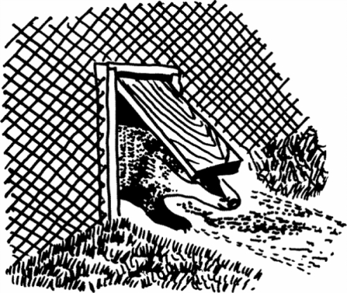 Hand-drawn line drawing/sketch of a Badger Gate